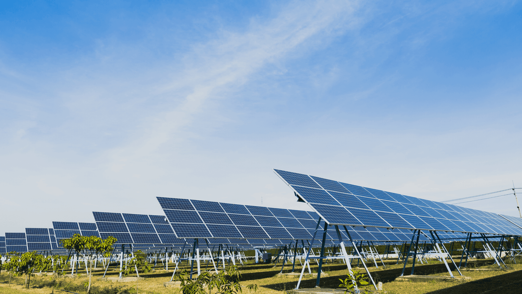 Solar Power for Flower Farms
